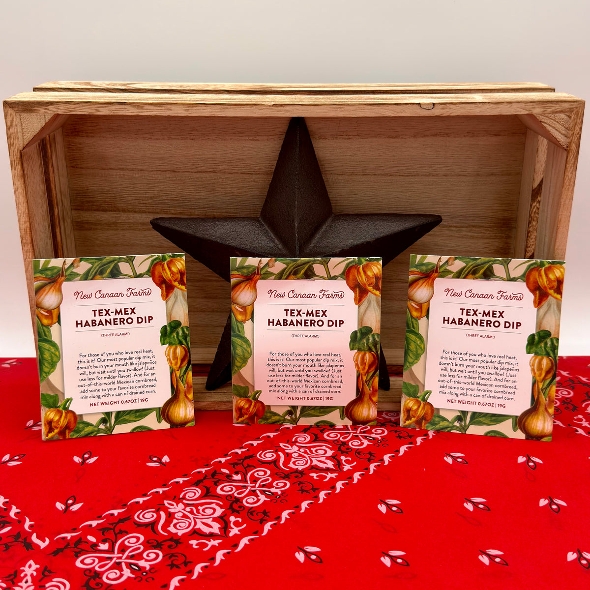 Tex-Mex Habanero Dip (3-Pack)